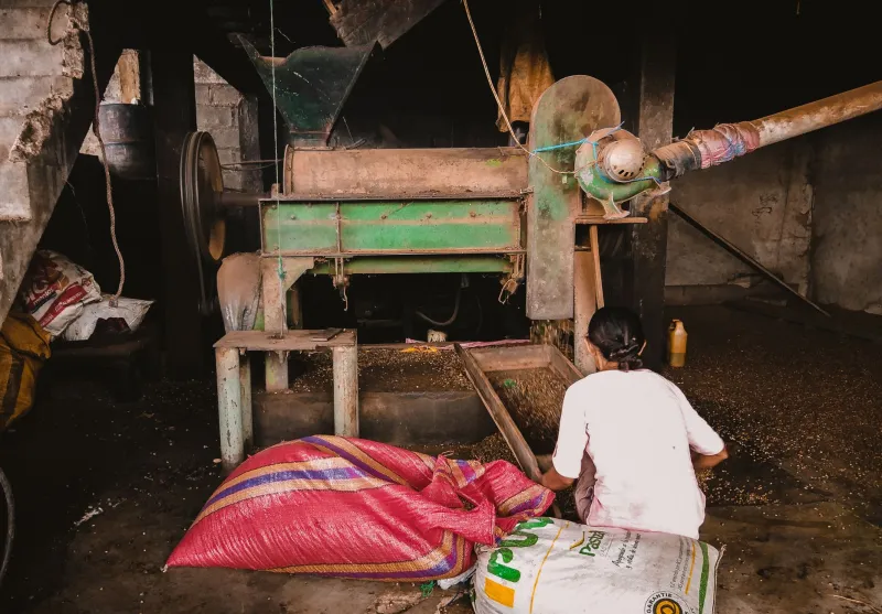 Da Porteira para a Prateleira: Como a Agroindustrialização Está Transformando Pequenos e Médios Produtores em Protagonistas do Mercado Brasileiro