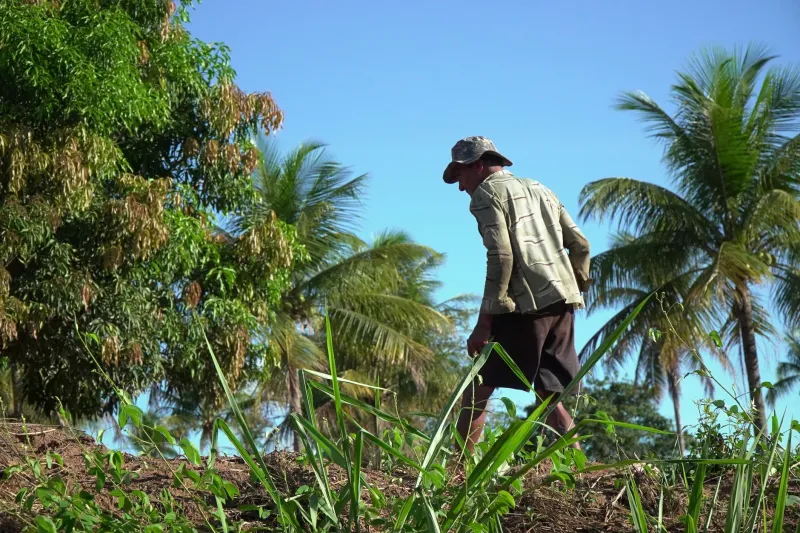 Produtos da Terra ao Mundo: A Jornada dos Pequenos Produtores Brasileiros que Cruzaram Fronteiras