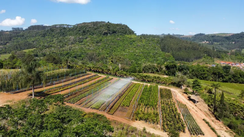 Selos Verdes, Lucros Reais: Como Certificações Ambientais Estão Elevando o Agronegócio Brasileiro ao Mercado Premium Internacional